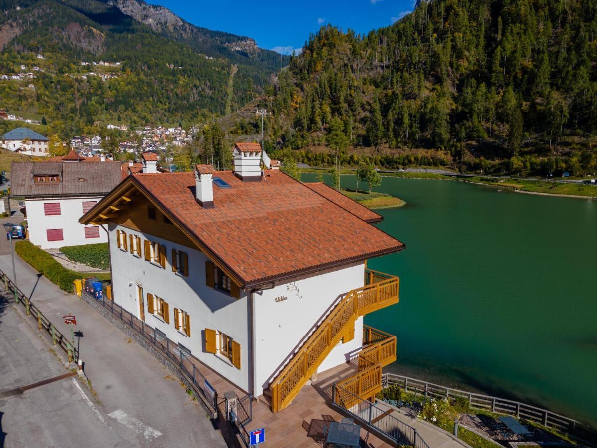 Villa Edelweiss 阿莱盖 外观 照片